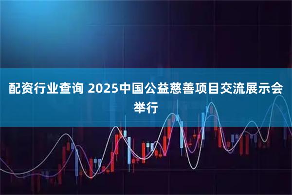 配资行业查询 2025中国公益慈善项目交流展示会举行