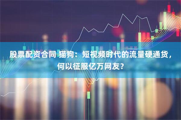 股票配资合同 猫狗：短视频时代的流量硬通货，何以征服亿万网友？